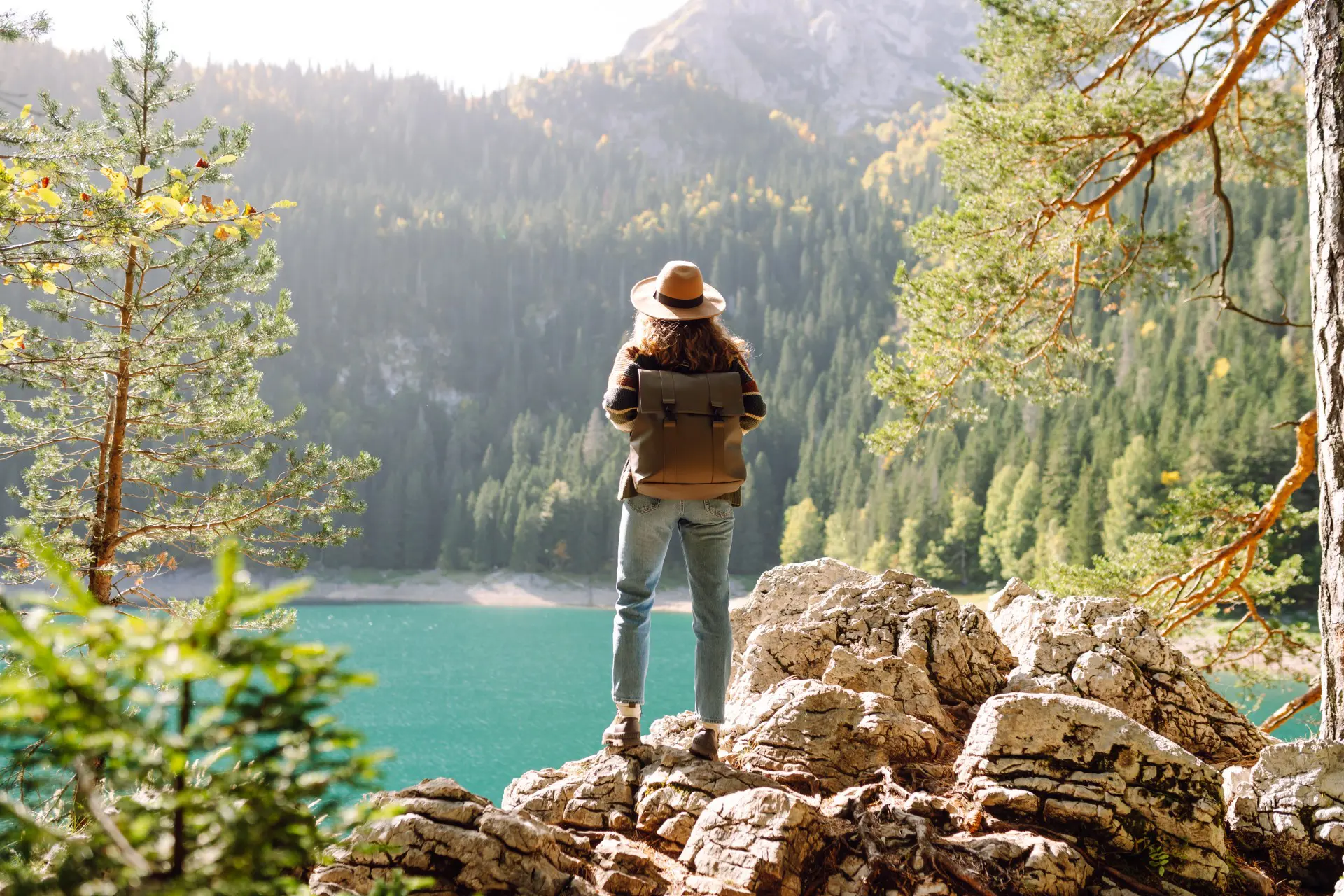 Person overlooking lake and forest from rocks.